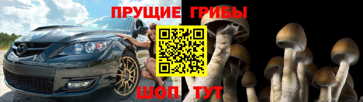 Галлюциногенные грибы мицелий Тельмана
